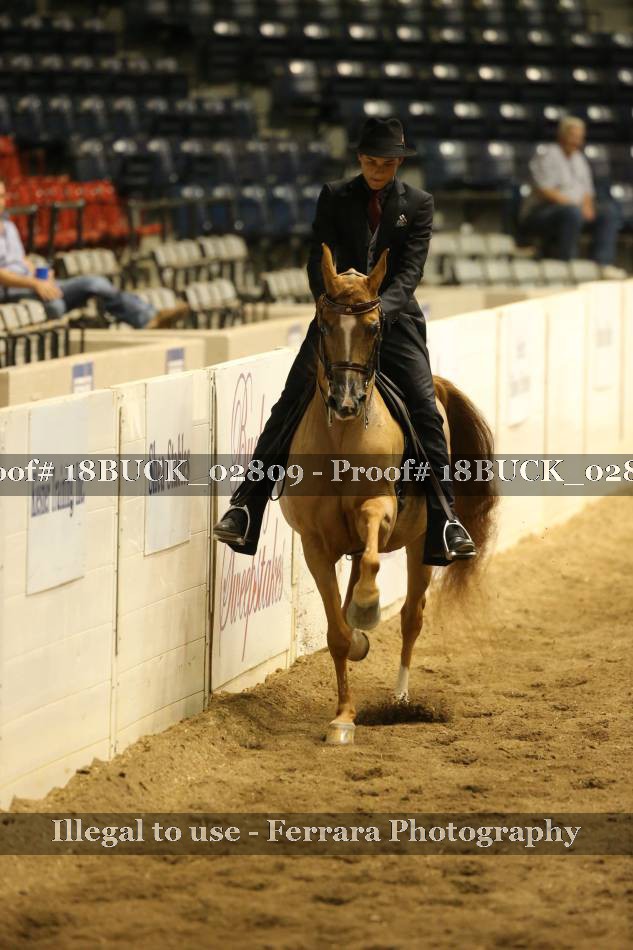 Proof 18BUCK_02809