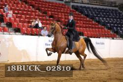 18BUCK_02810 proof