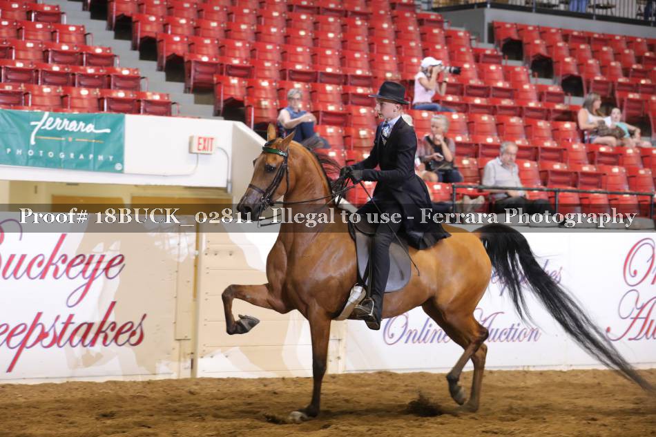 Proof 18BUCK_02811