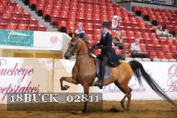 18BUCK_02811 proof