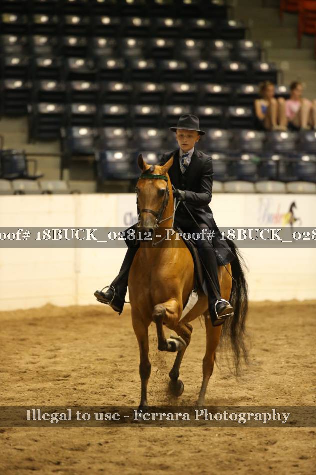 Proof 18BUCK_02812