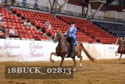 18BUCK_02813 proof