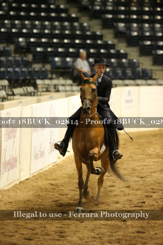 Proof 18BUCK_02814