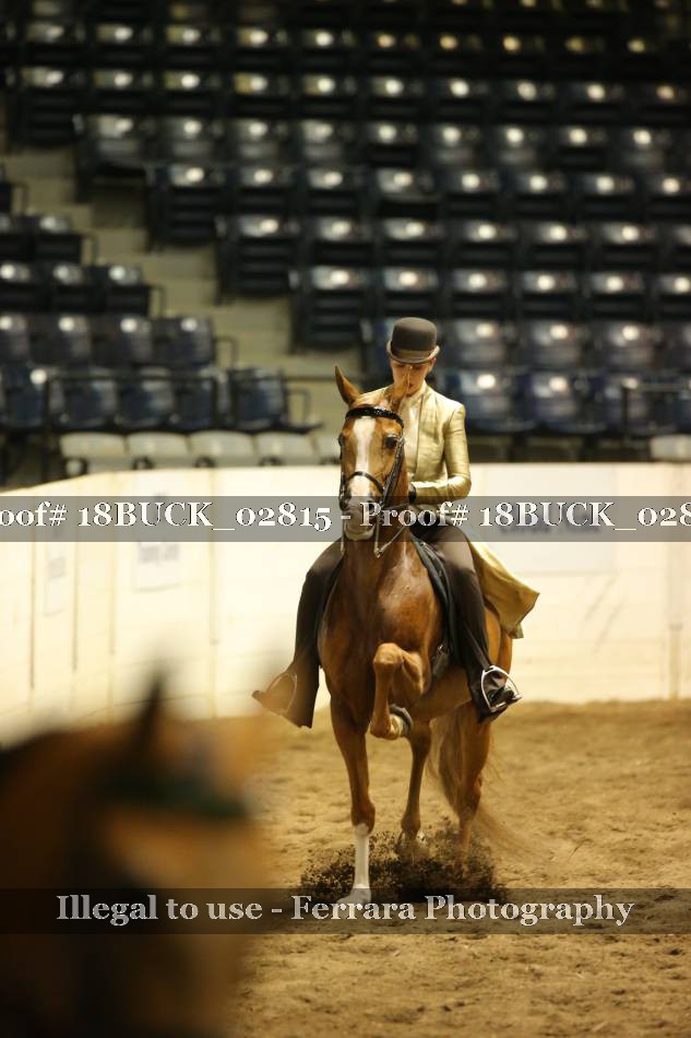 Proof 18BUCK_02815
