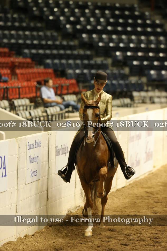 Proof 18BUCK_02816