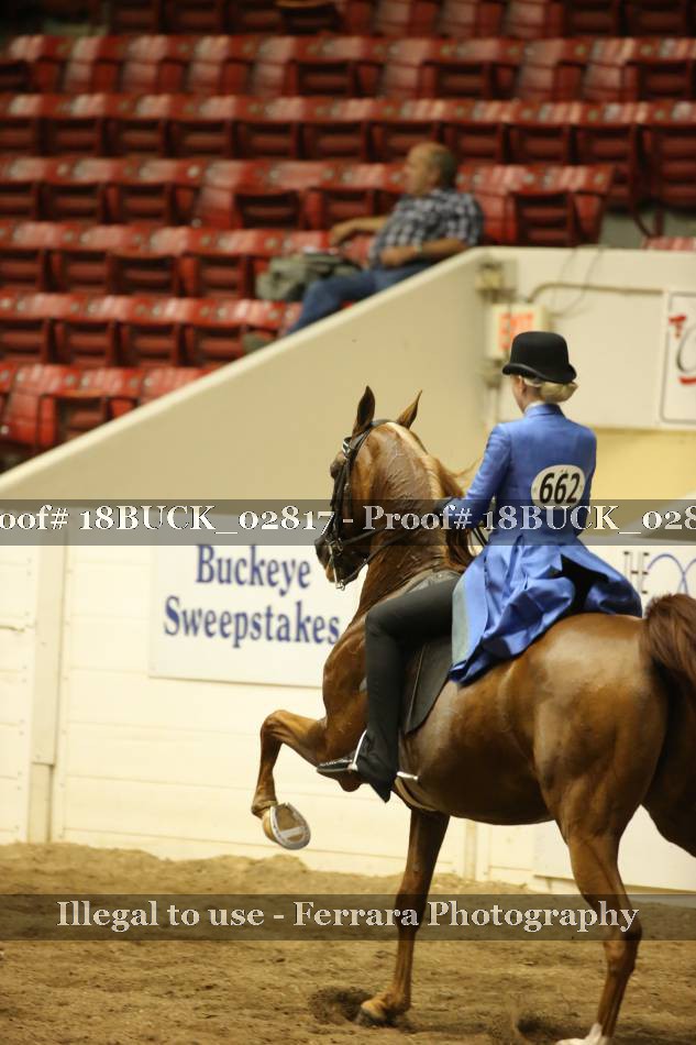 Proof 18BUCK_02817