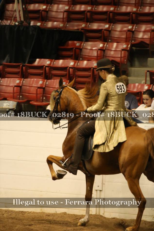 Proof 18BUCK_02819