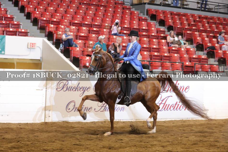 Proof 18BUCK_02821