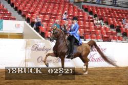 18BUCK_02821 proof
