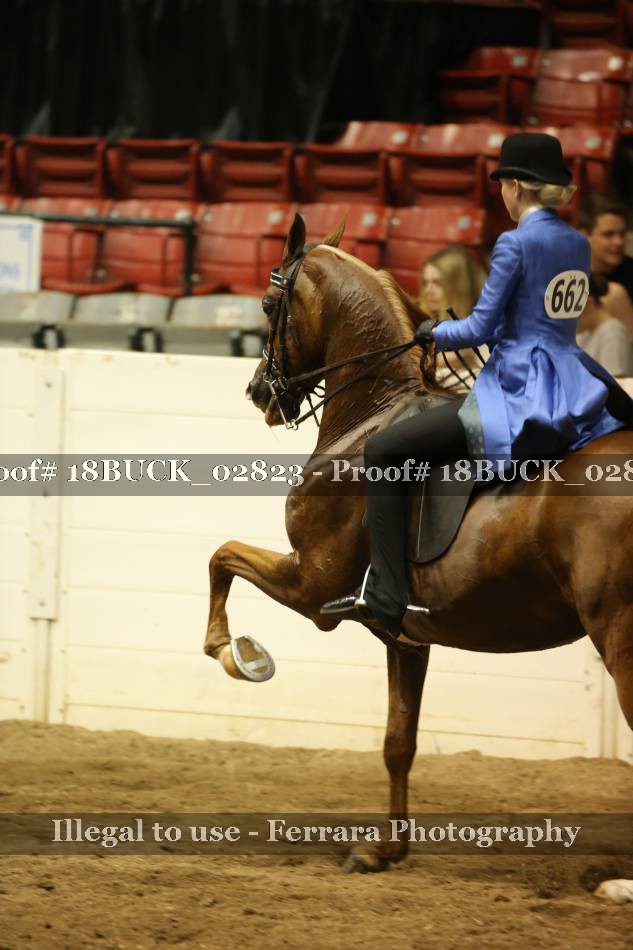Proof 18BUCK_02823