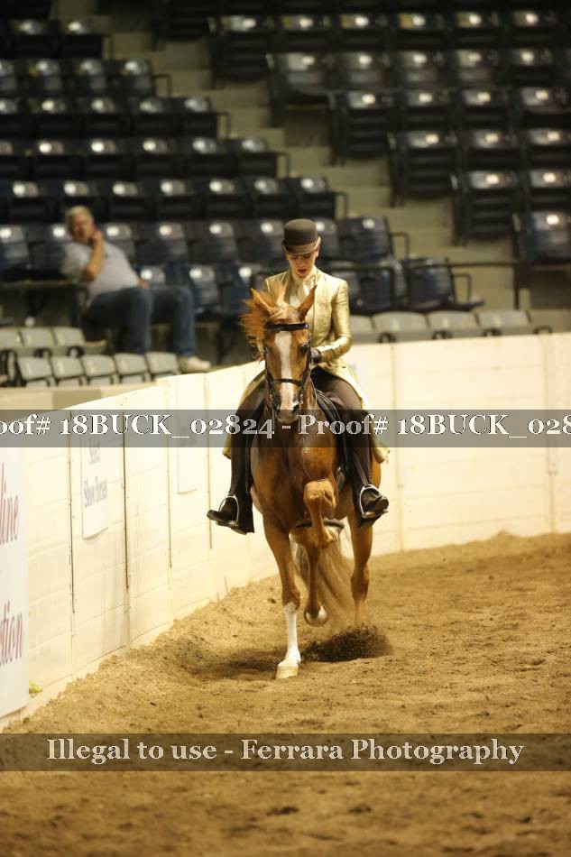 Proof 18BUCK_02824