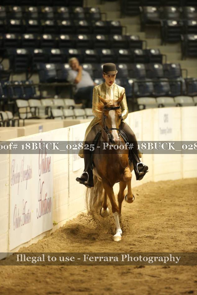 Proof 18BUCK_02825