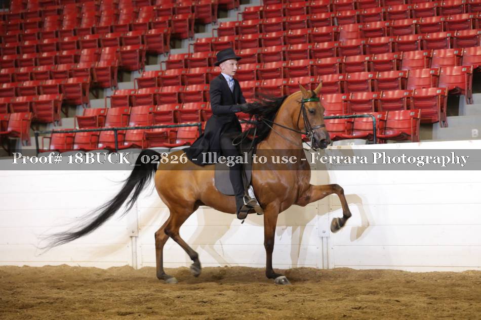 Proof 18BUCK_02826