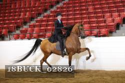 18BUCK_02826 proof