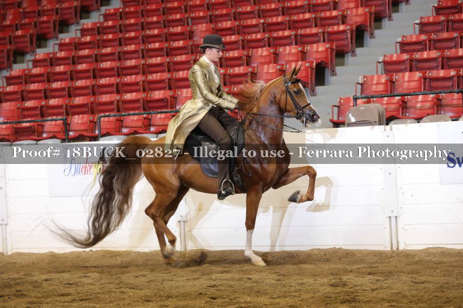 Proof 18BUCK_02827