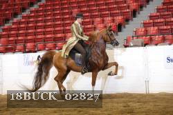 18BUCK_02827 proof