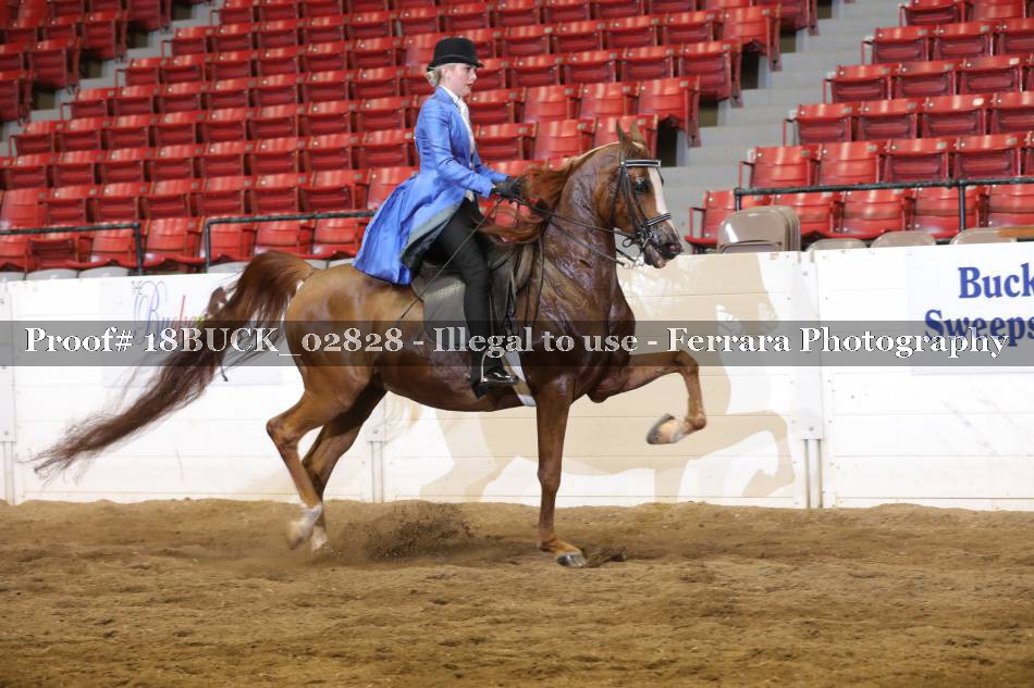 Proof 18BUCK_02828