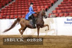 18BUCK_02828 proof