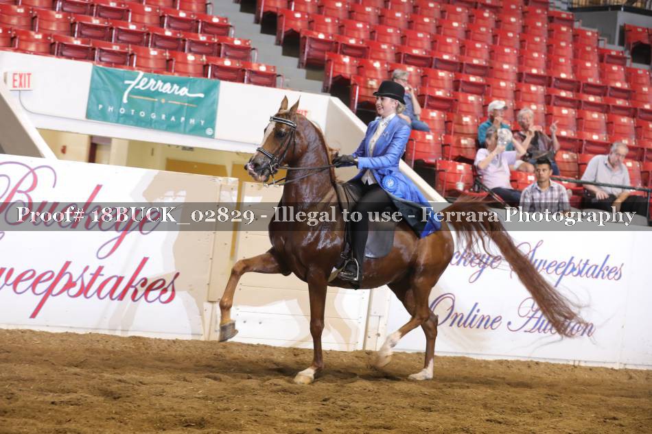 Proof 18BUCK_02829