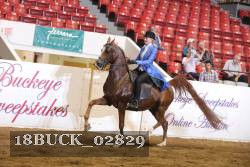 18BUCK_02829 proof