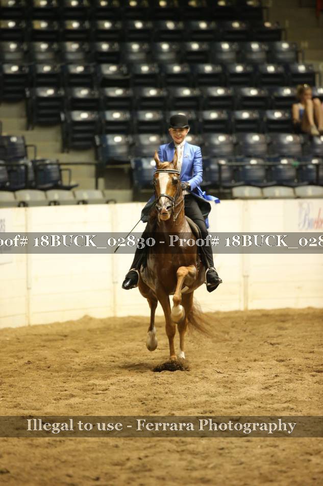 Proof 18BUCK_02830
