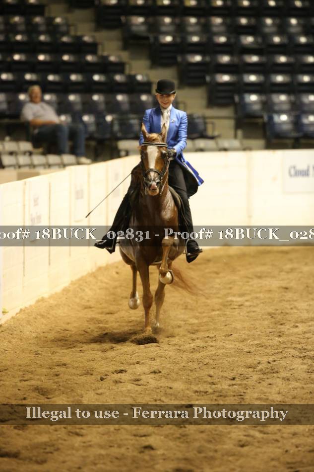 Proof 18BUCK_02831