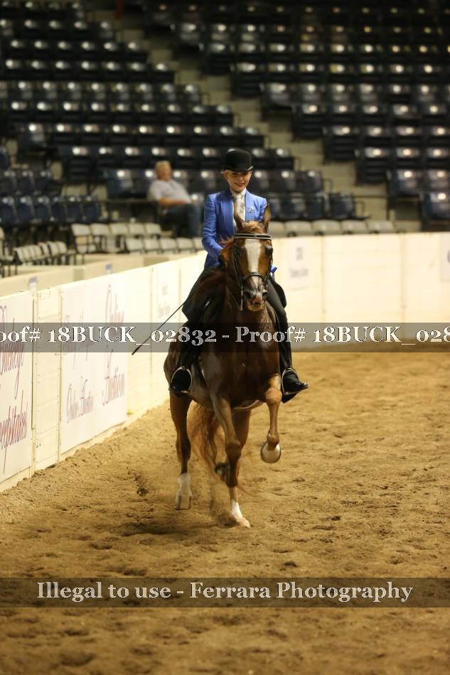 Proof 18BUCK_02832