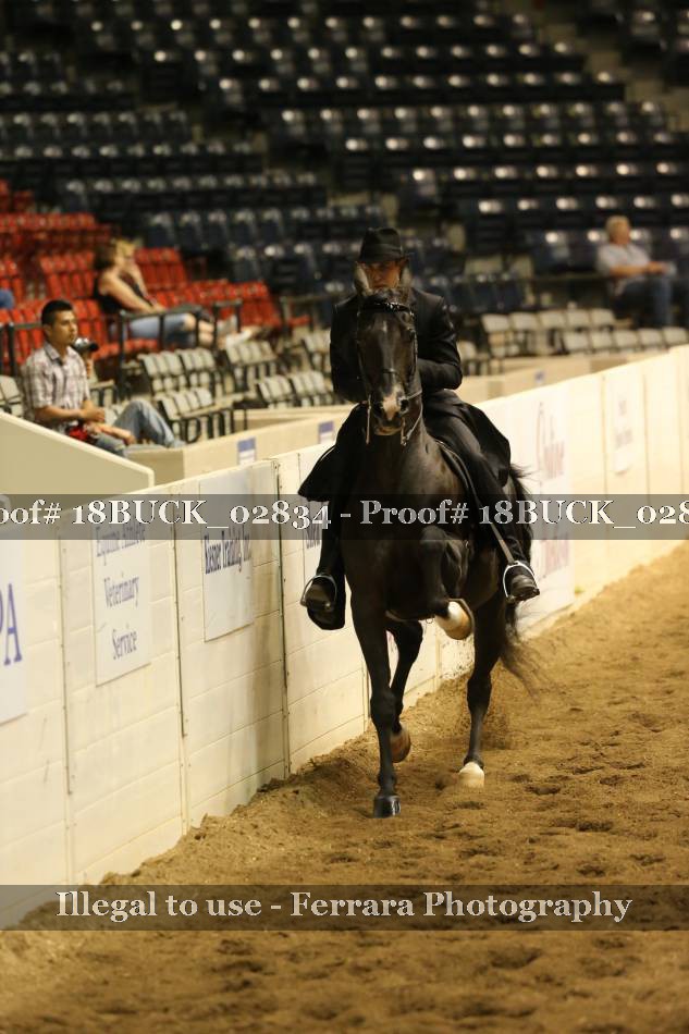 Proof 18BUCK_02834