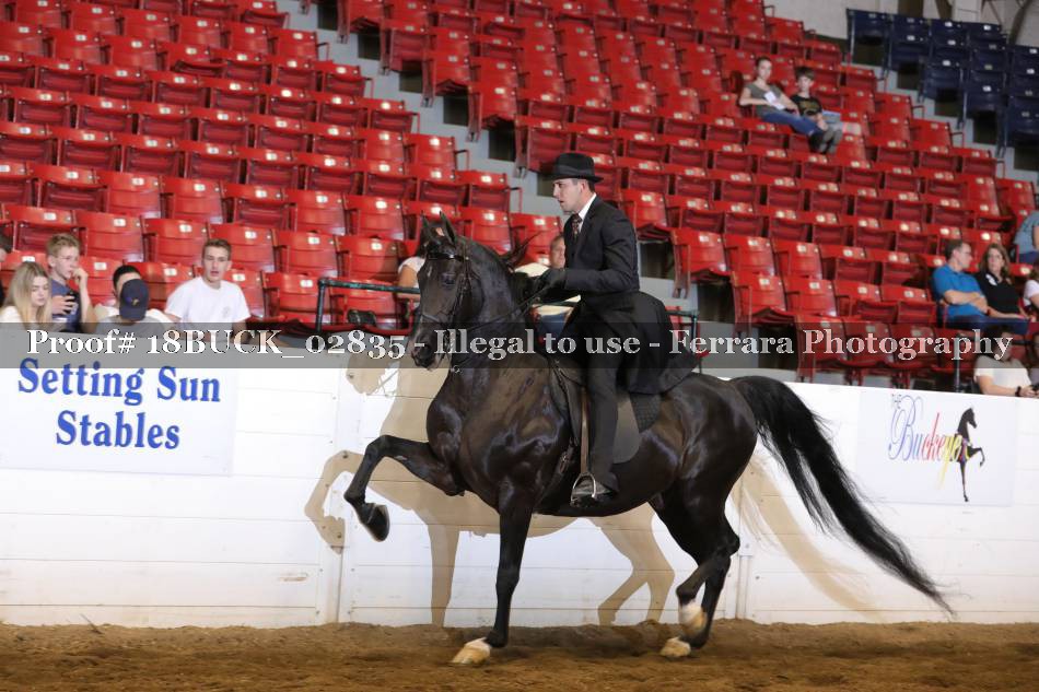 Proof 18BUCK_02835
