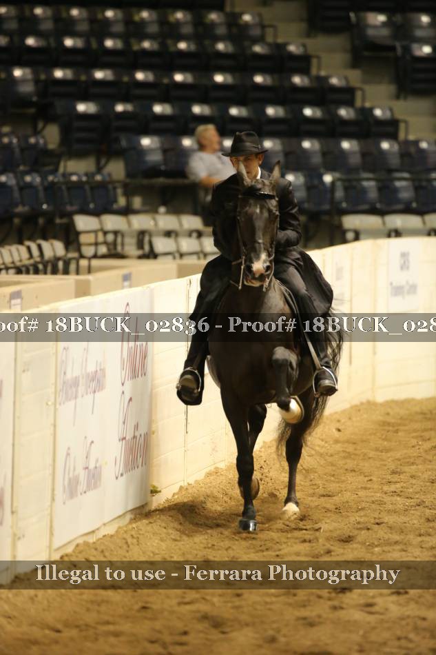 Proof 18BUCK_02836