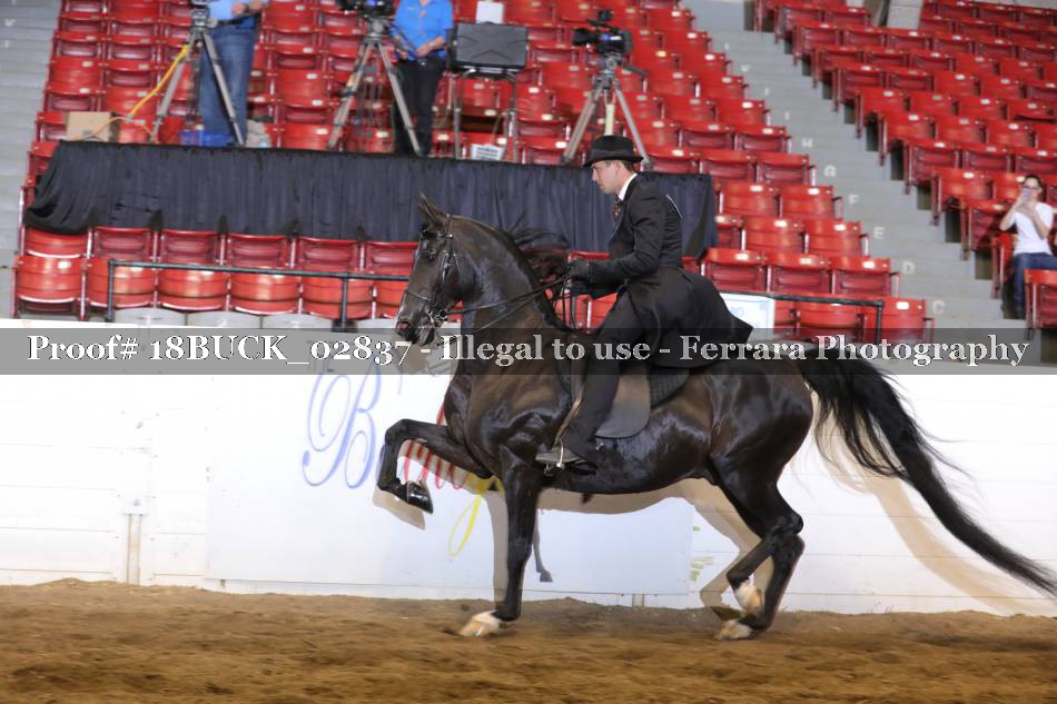 Proof 18BUCK_02837