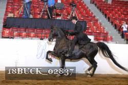 18BUCK_02837 proof