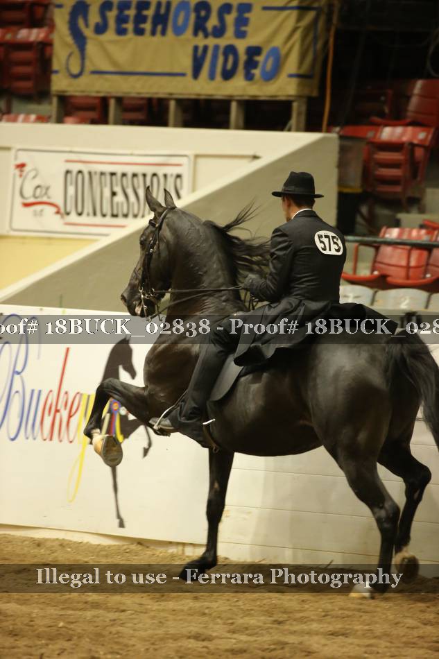 Proof 18BUCK_02838