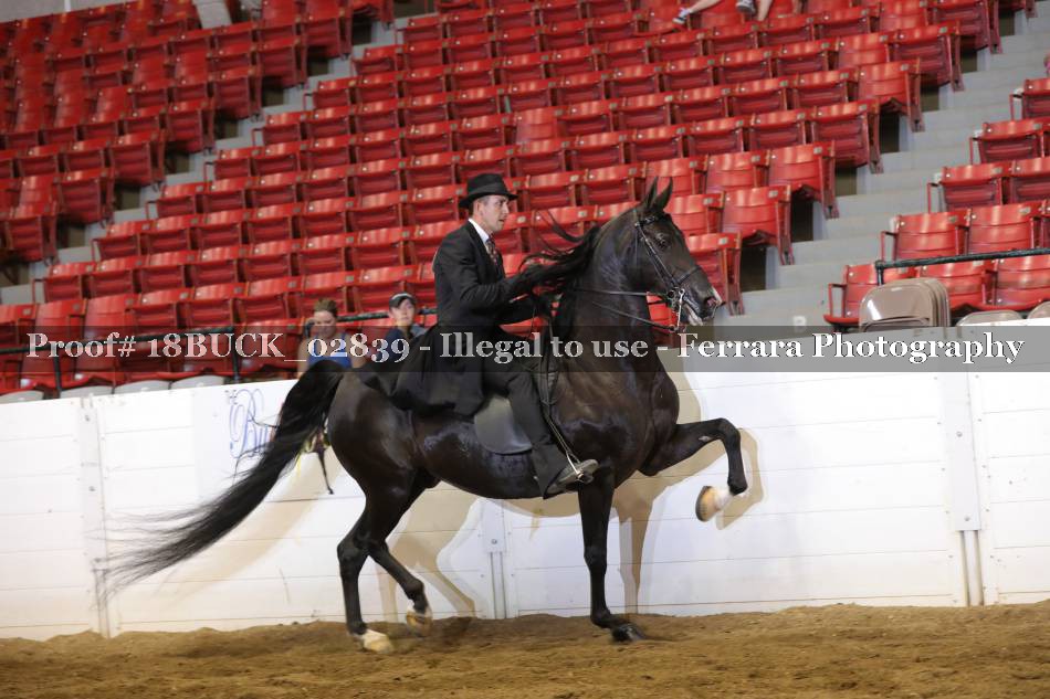 Proof 18BUCK_02839