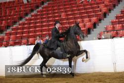18BUCK_02839 proof