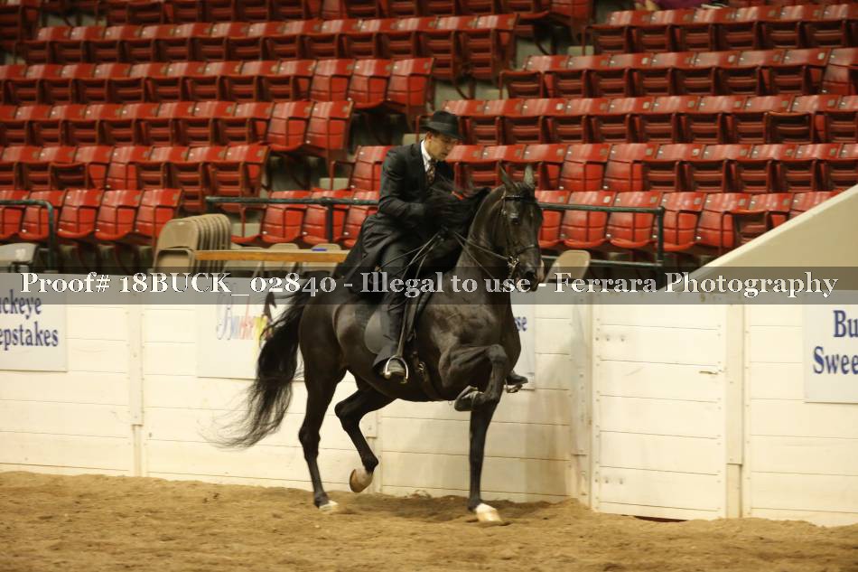 Proof 18BUCK_02840