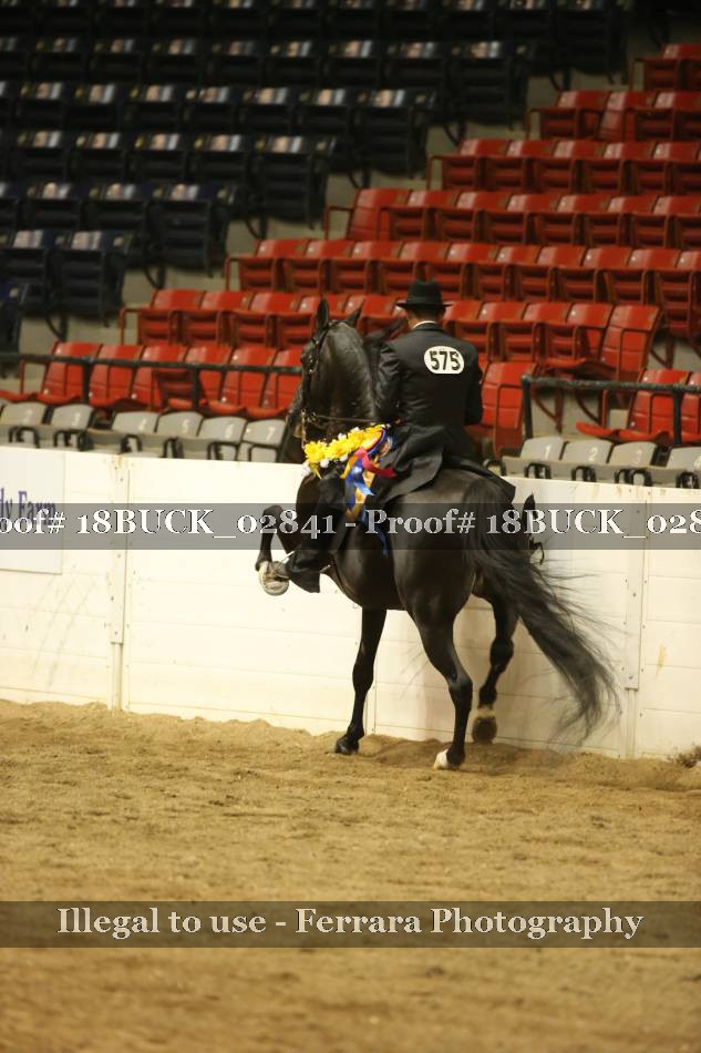 Proof 18BUCK_02841