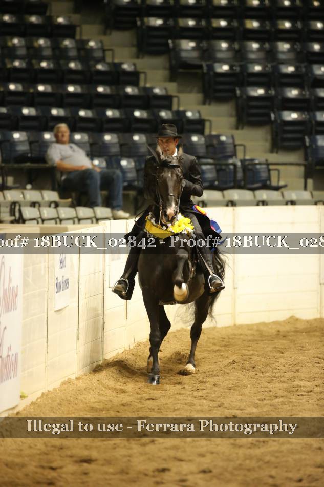 Proof 18BUCK_02842