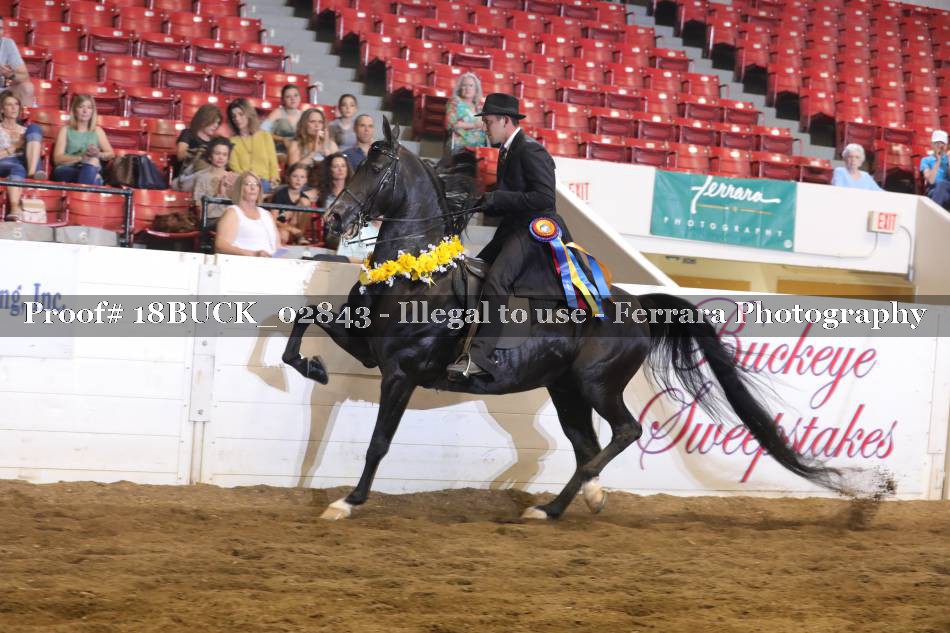 Proof 18BUCK_02843