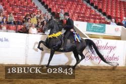 18BUCK_02843 proof