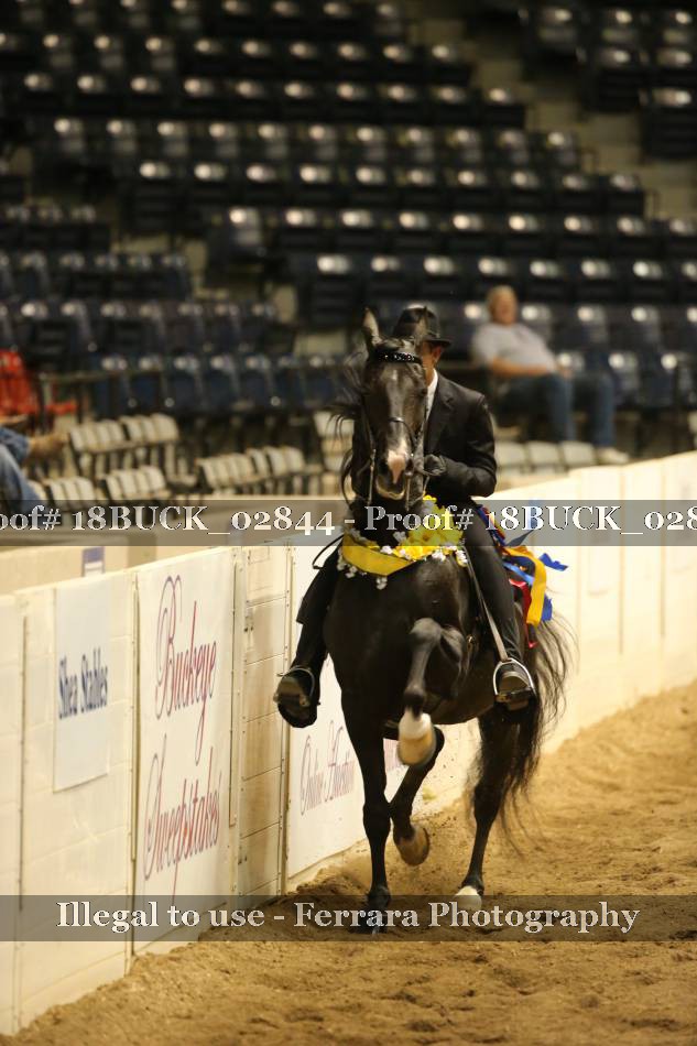 Proof 18BUCK_02844