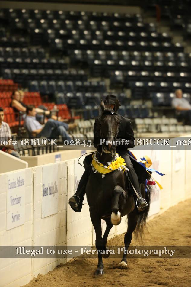 Proof 18BUCK_02845