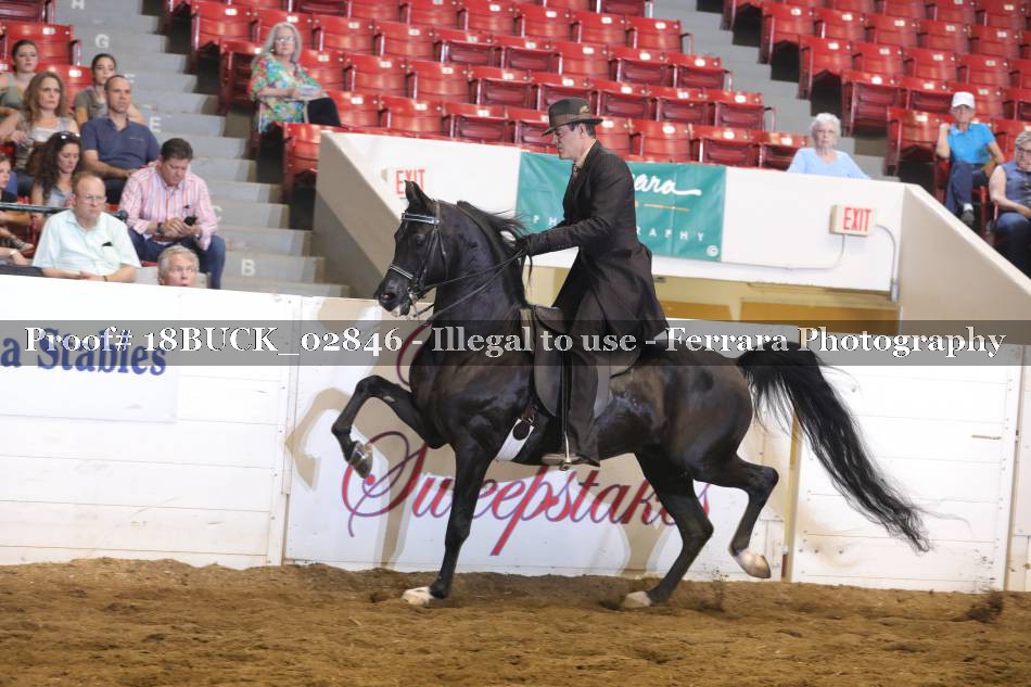 Proof 18BUCK_02846