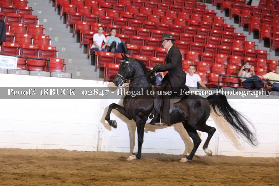 Proof 18BUCK_02847
