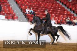 18BUCK_02847 proof