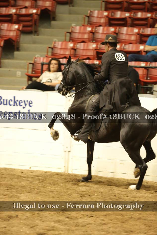 Proof 18BUCK_02848