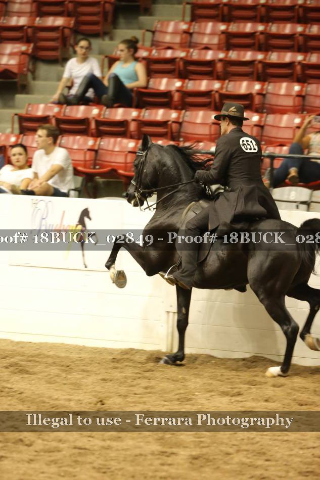 Proof 18BUCK_02849