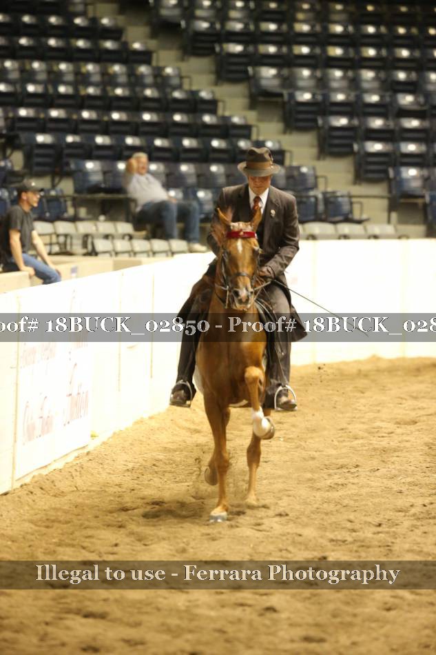 Proof 18BUCK_02850