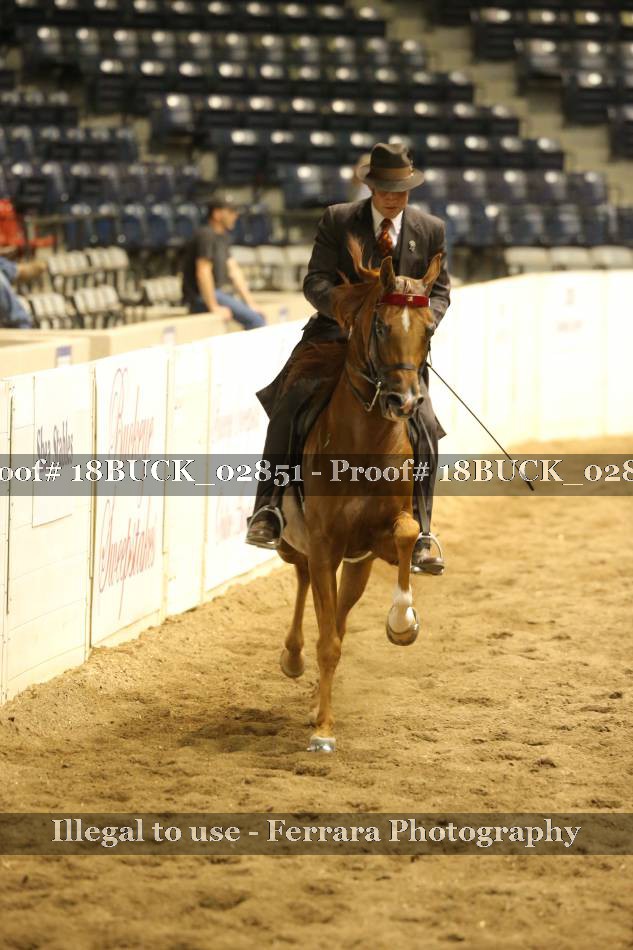 Proof 18BUCK_02851