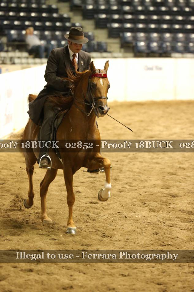 Proof 18BUCK_02852